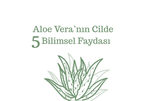 Aloe Vera’nın Cilde 5 Bilimsel Faydası